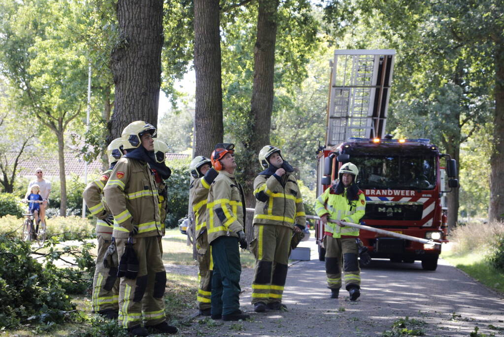 Brandweer haalt gevaarlijk hangende takken uit boom