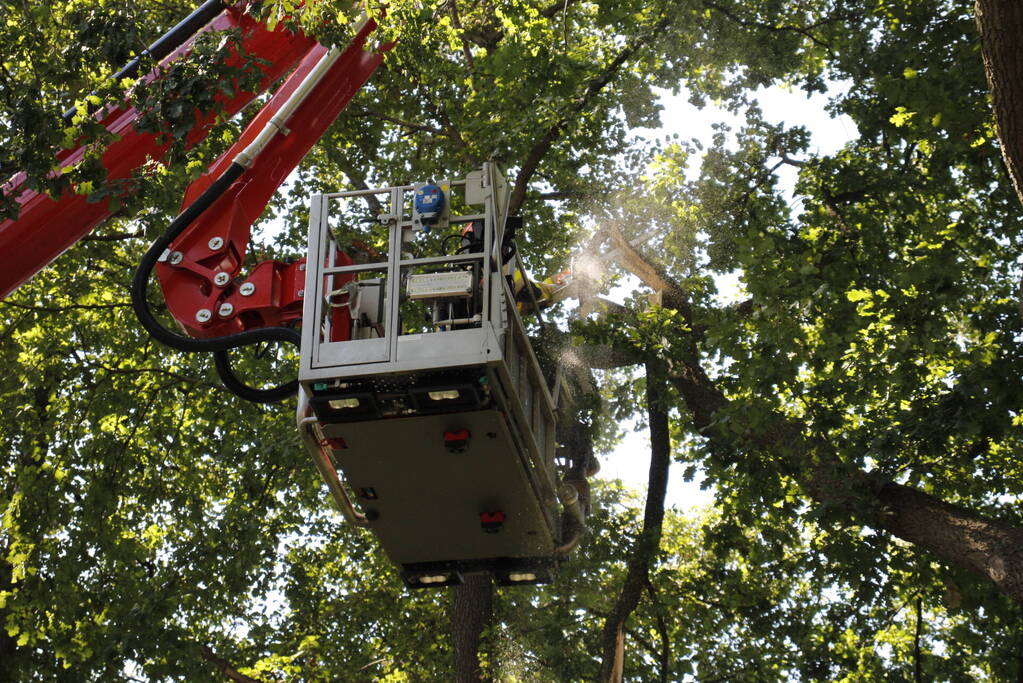 Brandweer haalt gevaarlijk hangende takken uit boom