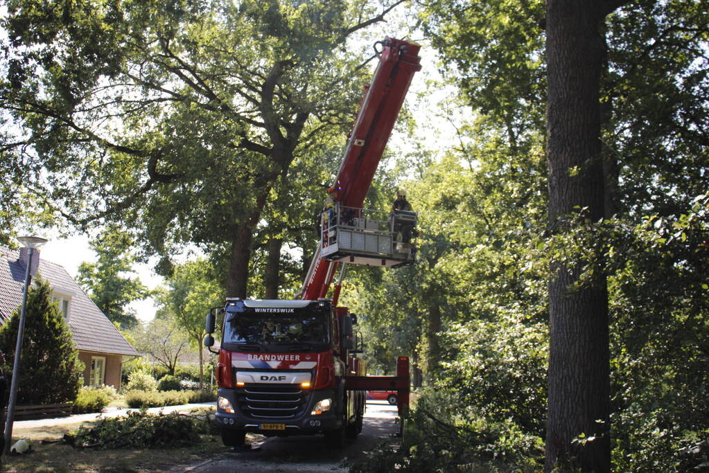Brandweer haalt gevaarlijk hangende takken uit boom