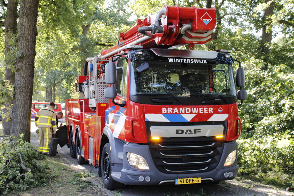 Brandweer haalt gevaarlijk hangende takken uit boom