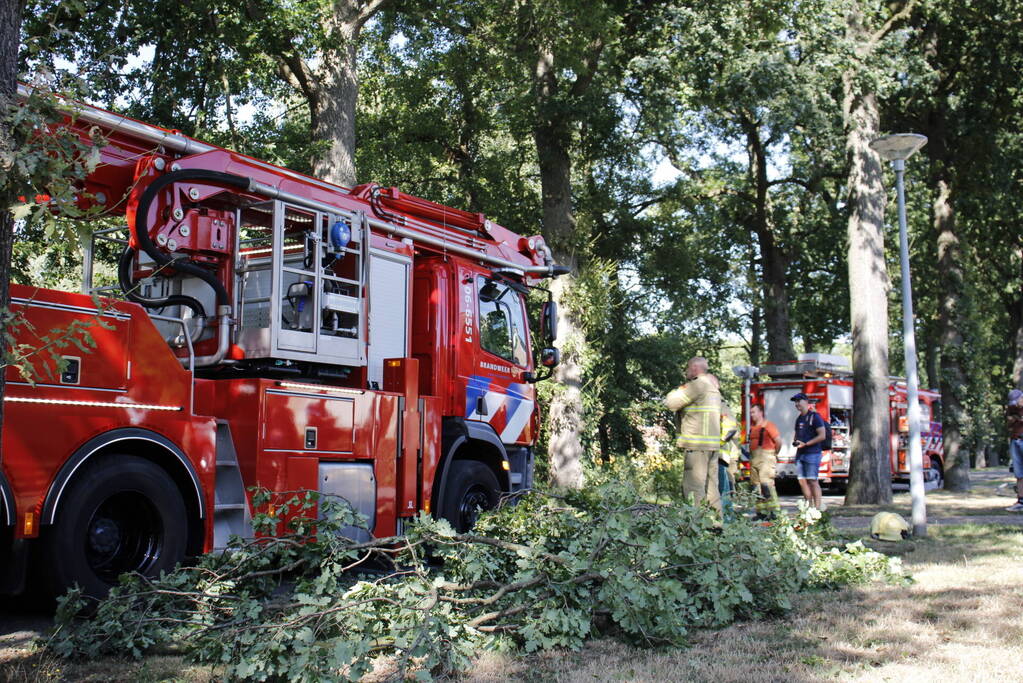 Brandweer haalt gevaarlijk hangende takken uit boom