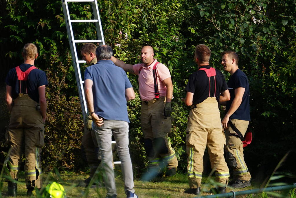 Brandweer redt kat uit boom