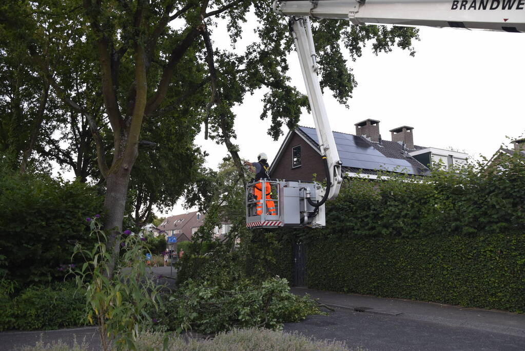 Brandweer ingezet voor afgebroken tak
