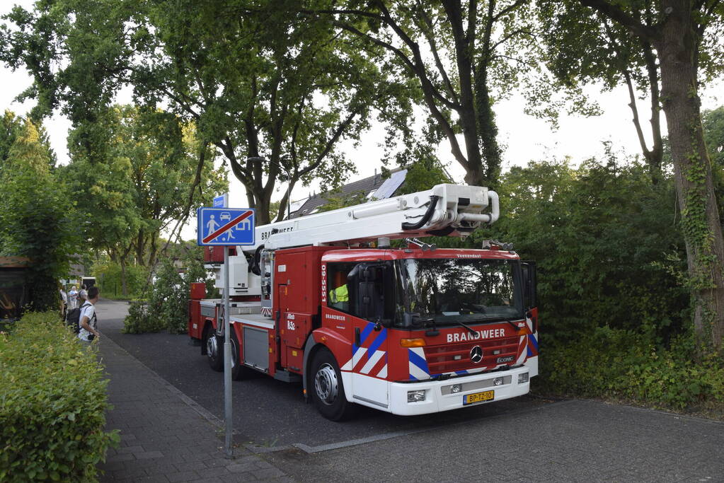 Brandweer ingezet voor afgebroken tak