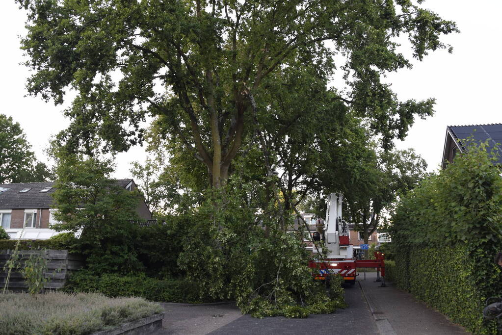 Brandweer ingezet voor afgebroken tak