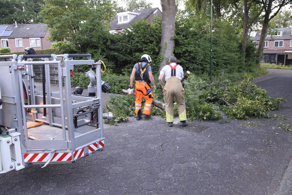 Brandweer ingezet voor afgebroken tak
