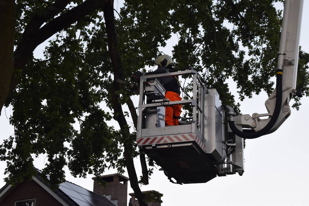 Brandweer ingezet voor afgebroken tak