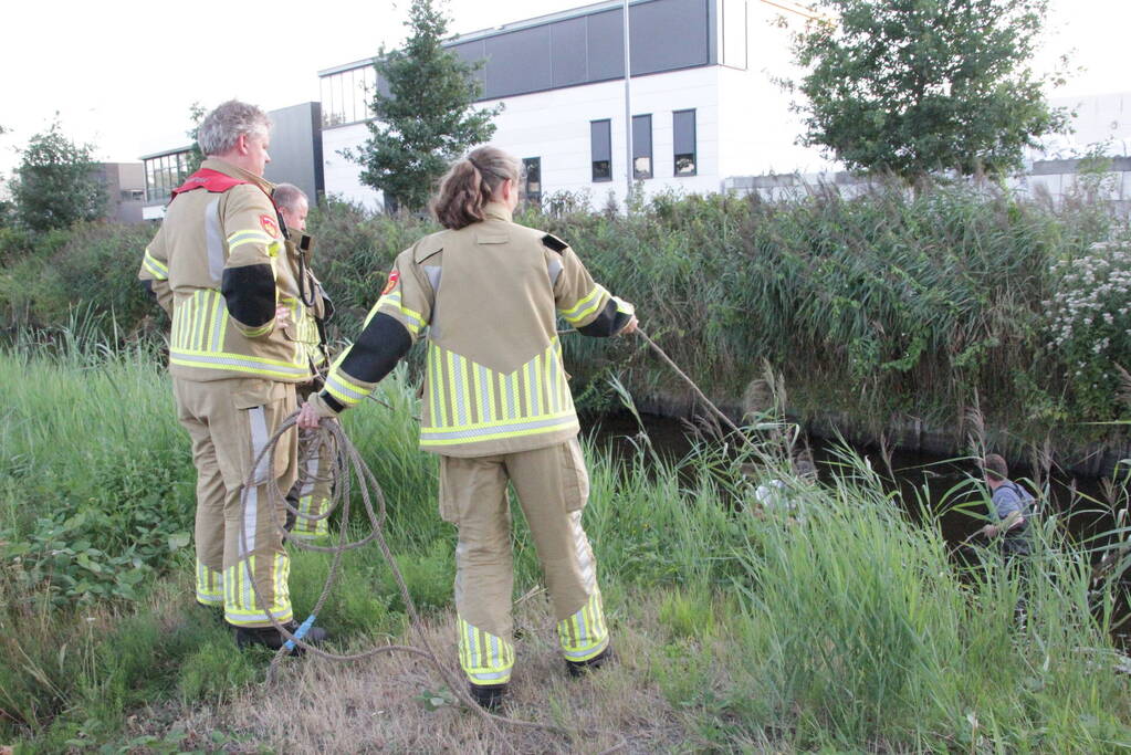 Brandweer zoekt naar gestolen katalysator