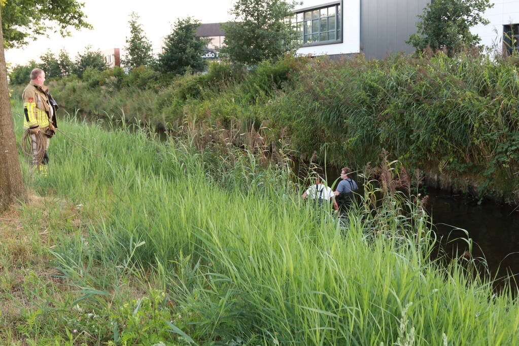 Brandweer zoekt naar gestolen katalysator