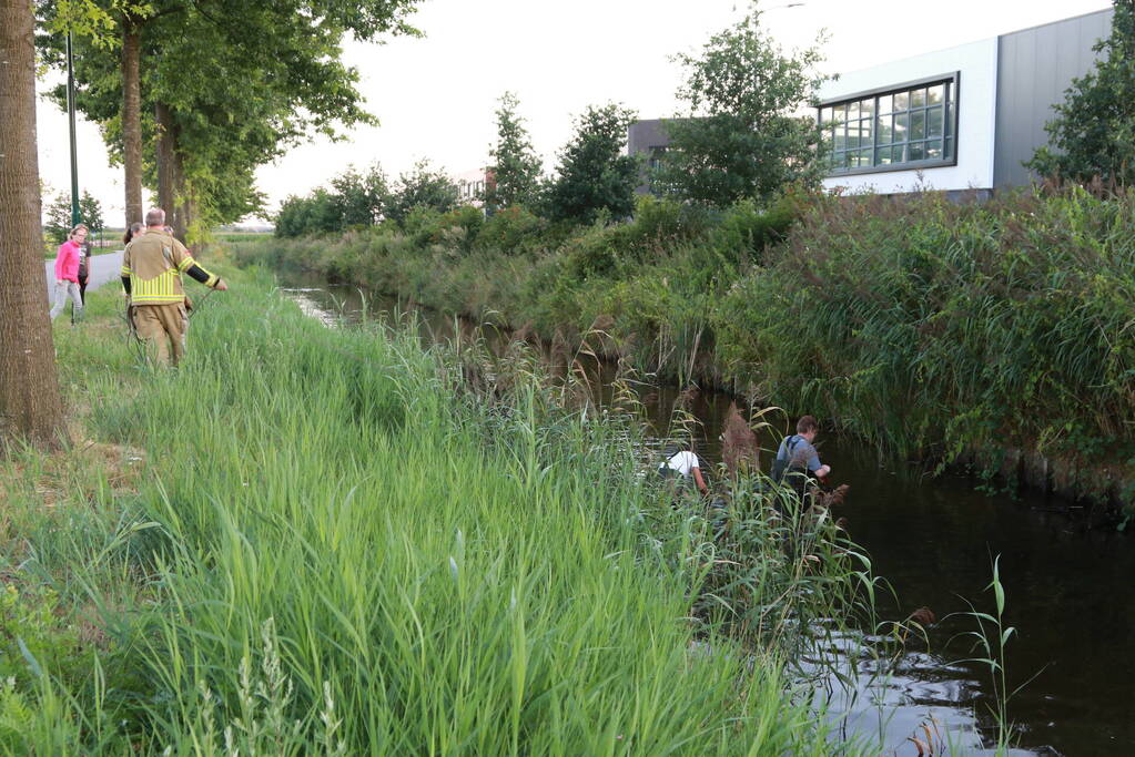 Brandweer zoekt naar gestolen katalysator