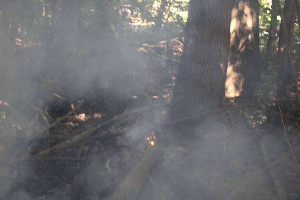 Brand in bosgebied snel geblust