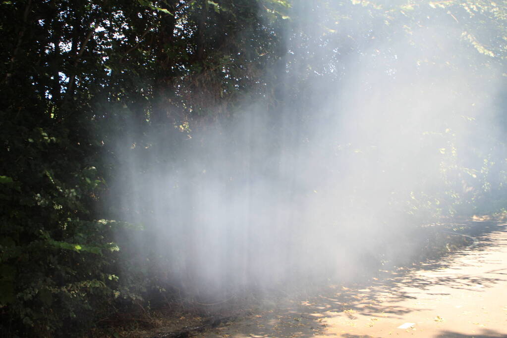 Brand in bosgebied snel geblust