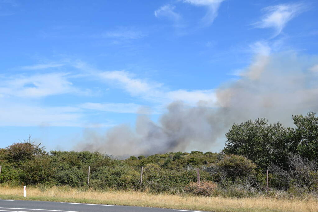 Brandweer massaal ingezet bij grote duinbrand