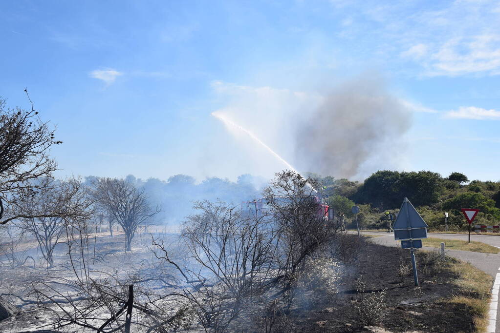 Brandweer massaal ingezet bij grote duinbrand