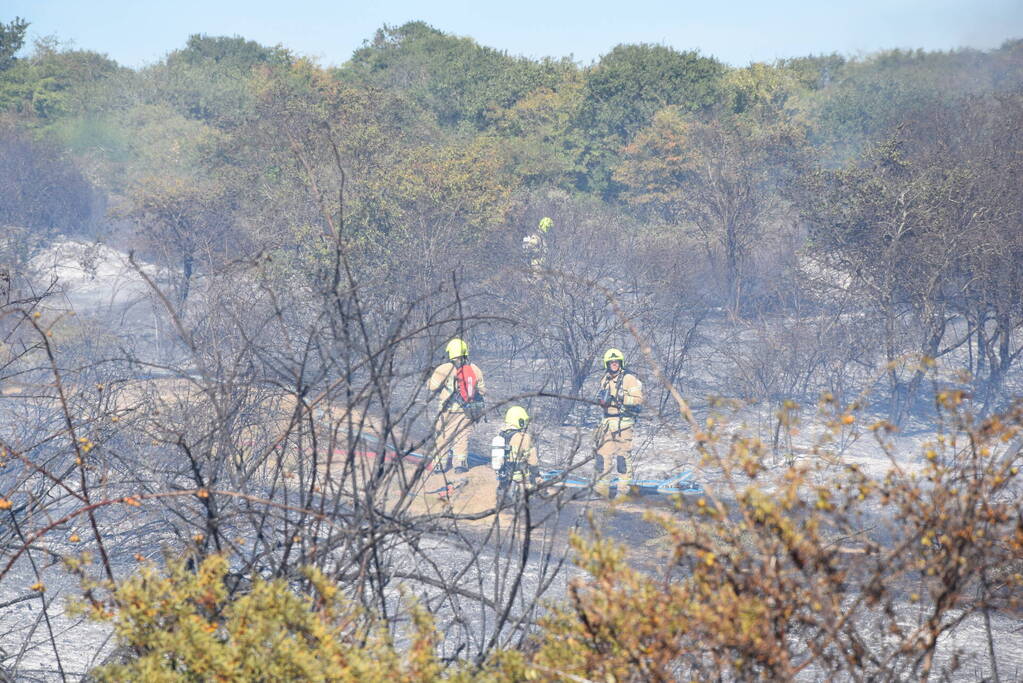 Brandweer massaal ingezet bij grote duinbrand