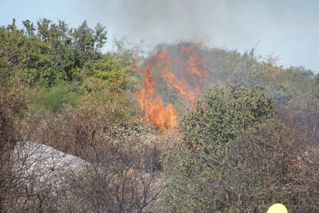 Brandweer massaal ingezet bij grote duinbrand