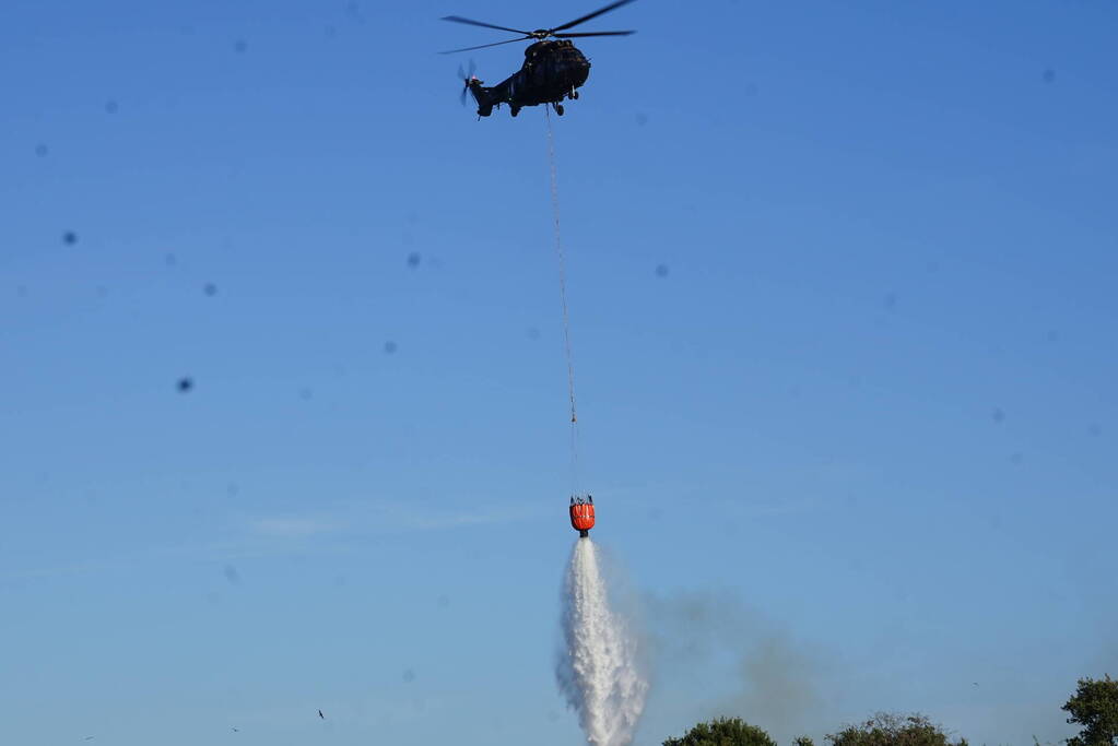 Brandweer massaal ingezet bij grote duinbrand