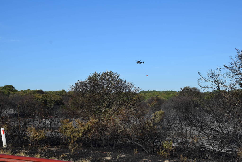 Brandweer massaal ingezet bij grote duinbrand