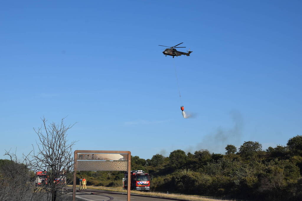 Brandweer massaal ingezet bij grote duinbrand
