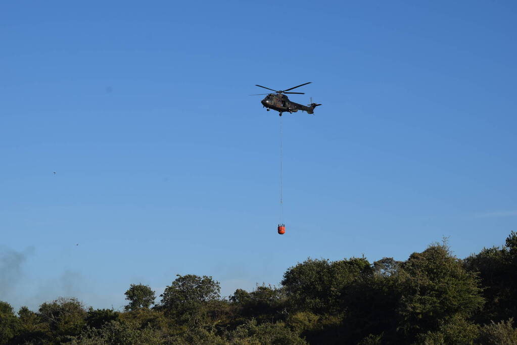 Brandweer massaal ingezet bij grote duinbrand