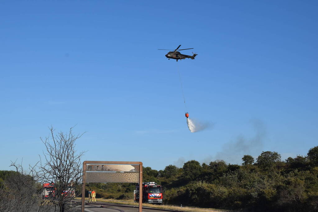 Brandweer massaal ingezet bij grote duinbrand