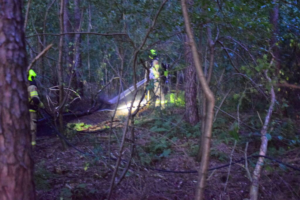 Brand in bosgebied snel geblust