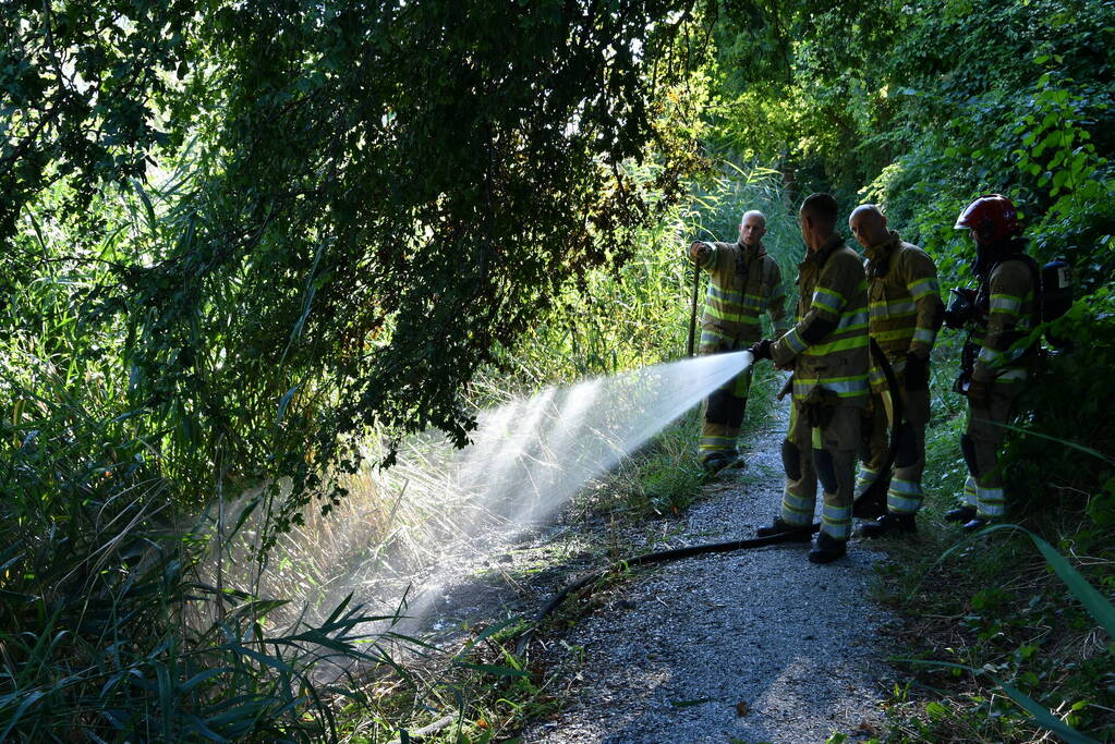 Kleine rietbrand in park