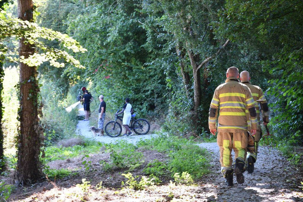 Kleine rietbrand in park