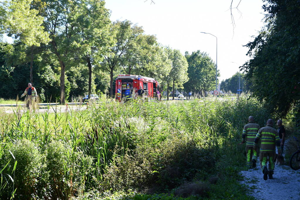 Kleine rietbrand in park