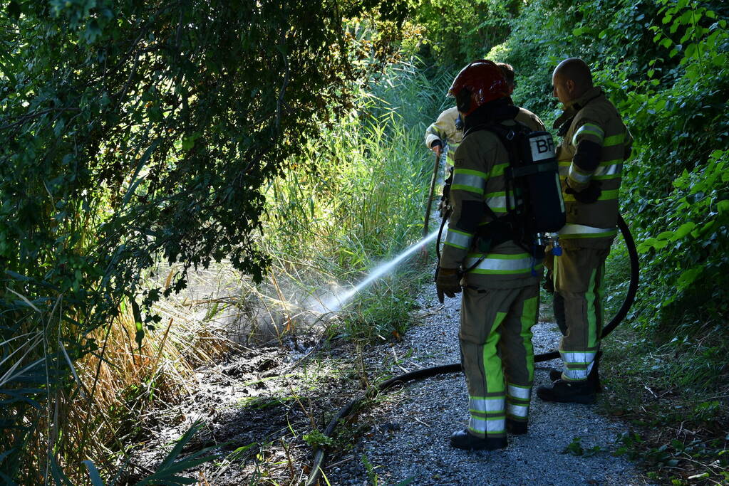 Kleine rietbrand in park