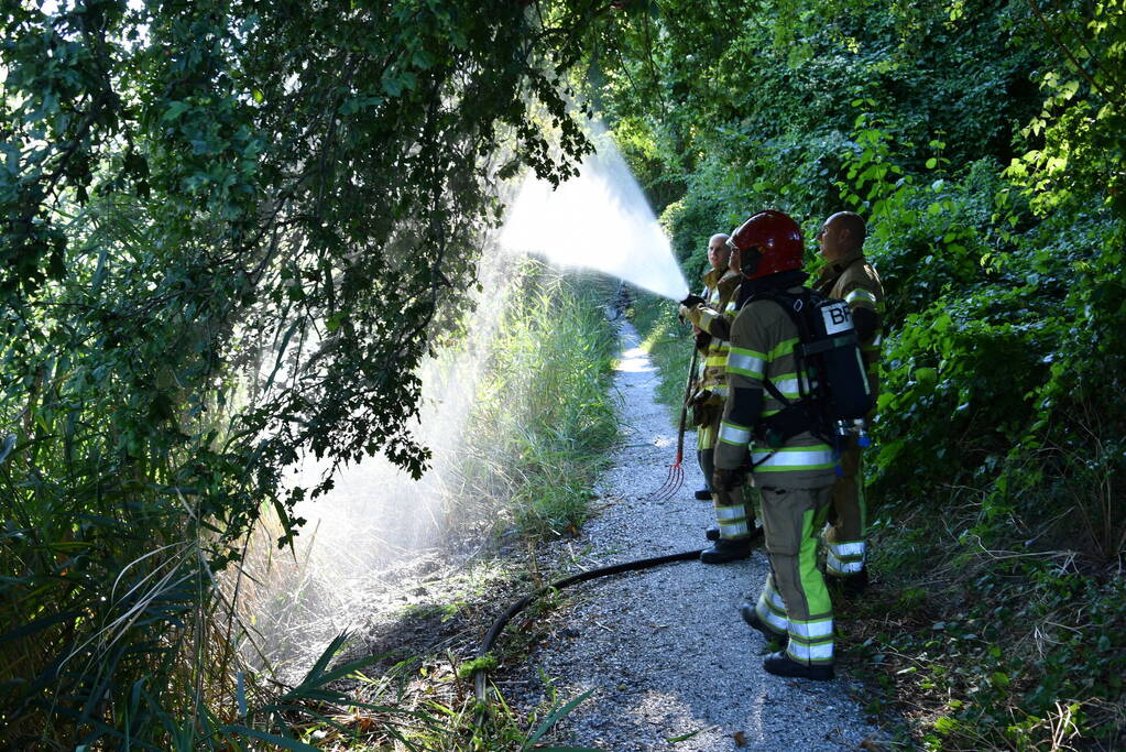 Kleine rietbrand in park