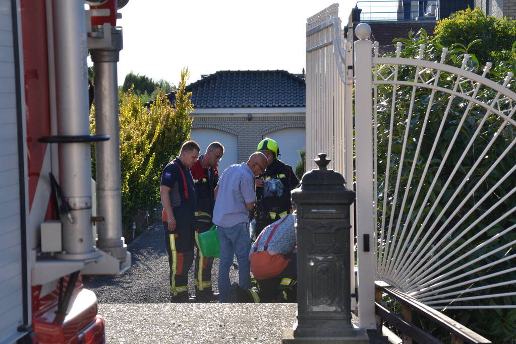 Rookontwikkeling onder de grond in tuin