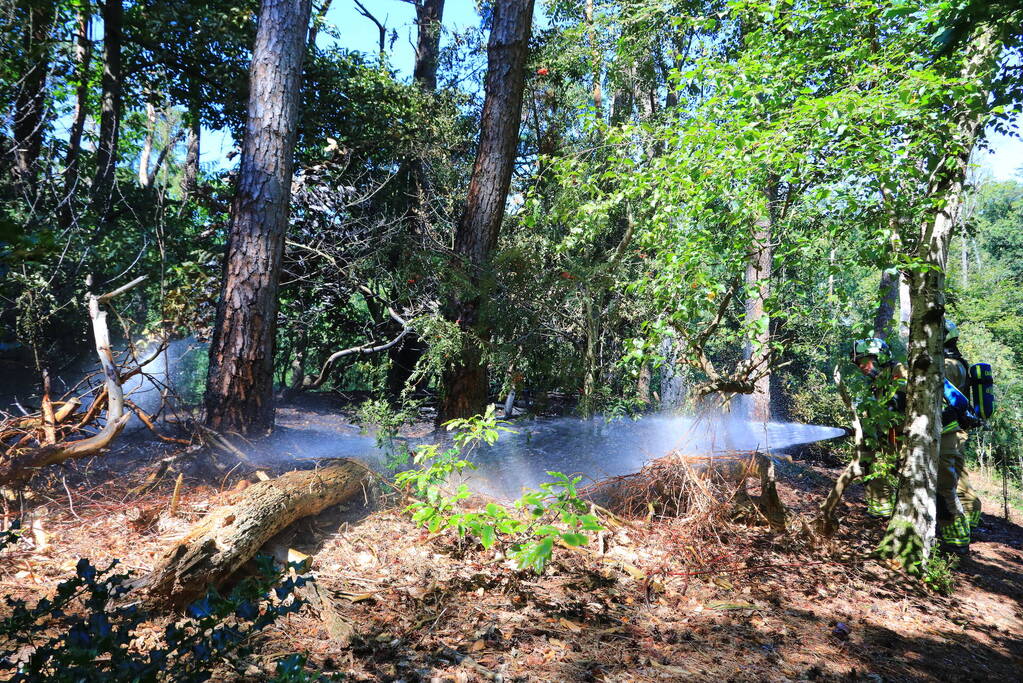 Flinke brand in Monnickenbos