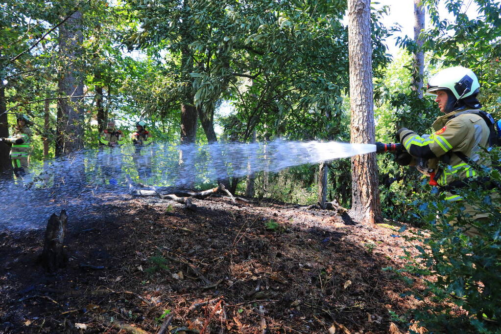 Flinke brand in Monnickenbos