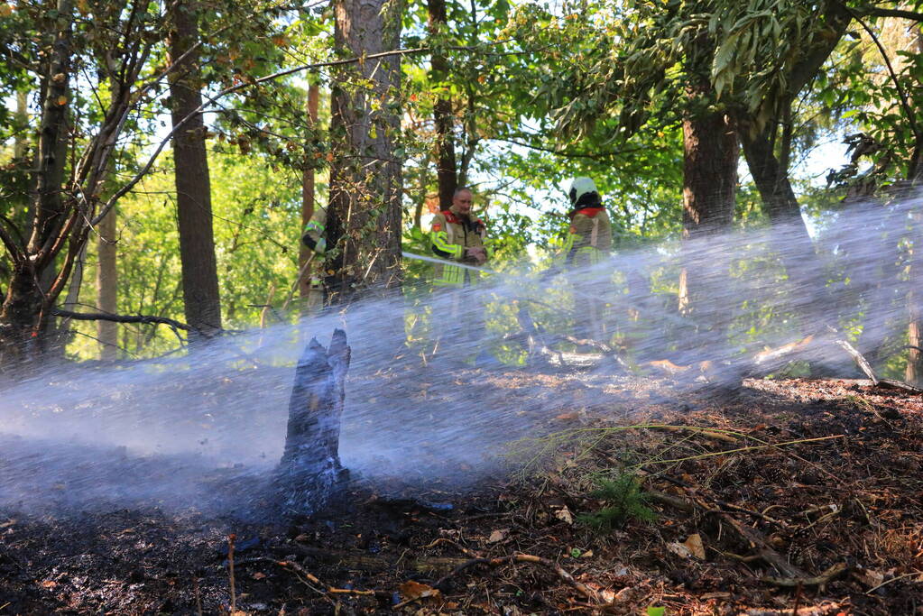 Flinke brand in Monnickenbos