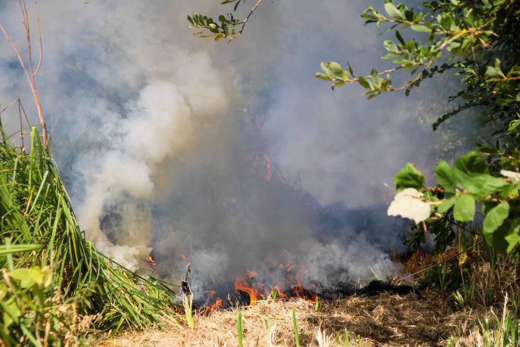 Bosschage Park Groenoord in brand