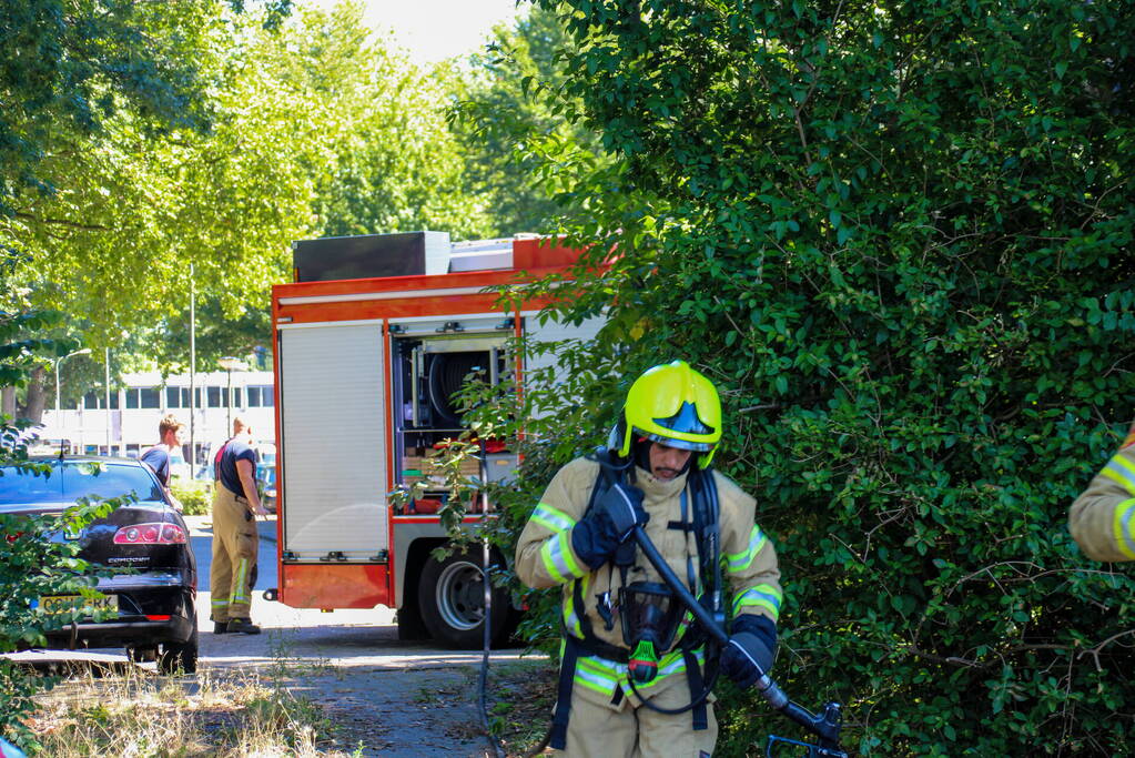 Bosschage Park Groenoord in brand