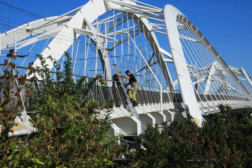 Hulpdiensten massaal aanwezig bij waterongeval