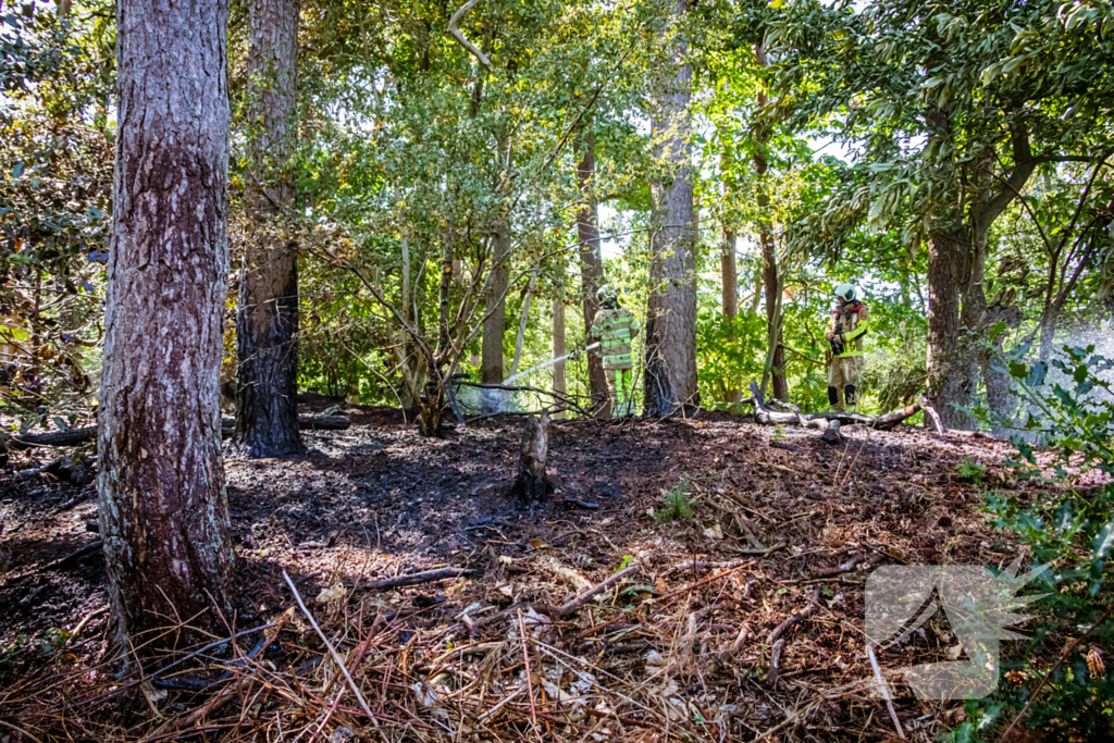Brand ontdekt in bosgebied