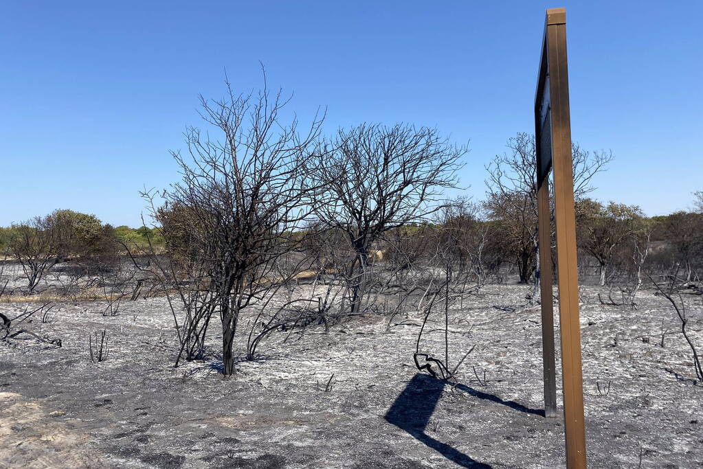 Onderzoek naar duinbrand in volle gang