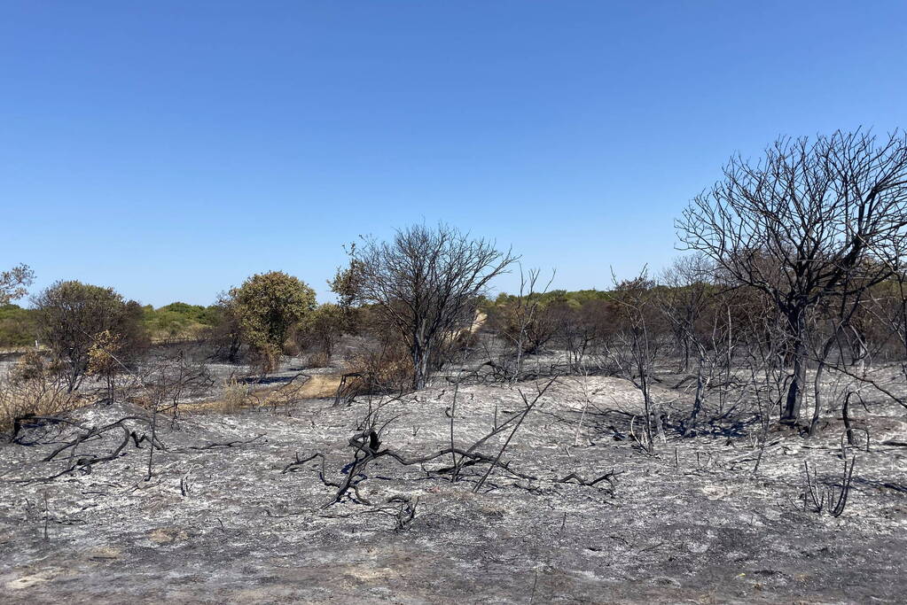 Onderzoek naar duinbrand in volle gang