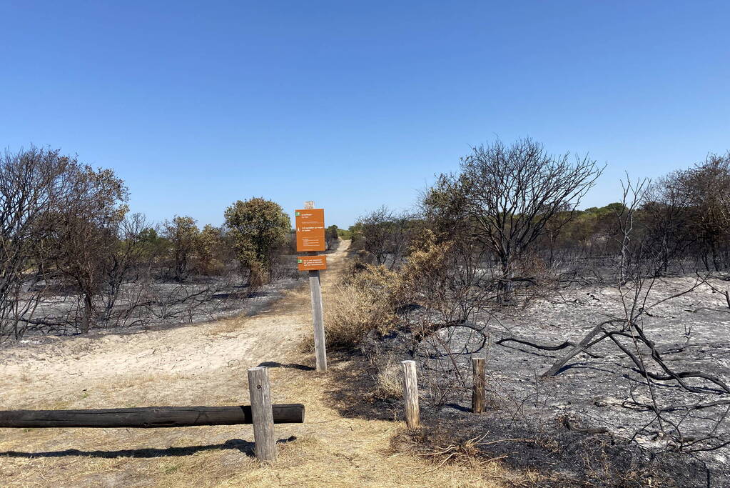 Onderzoek naar duinbrand in volle gang