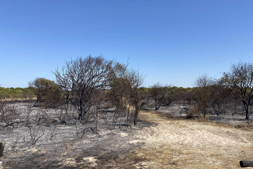 Onderzoek naar duinbrand in volle gang