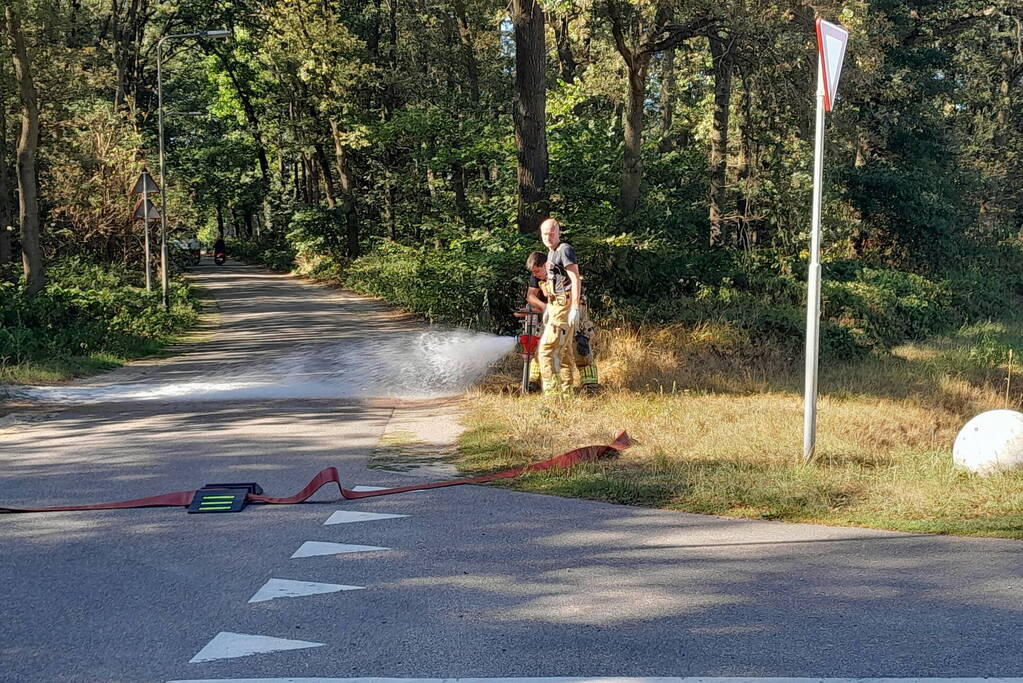 Grote schade bij heidebrand