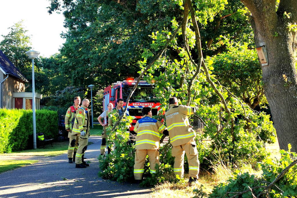 Gevaarlijk hangende tak verwijderd door brandweer