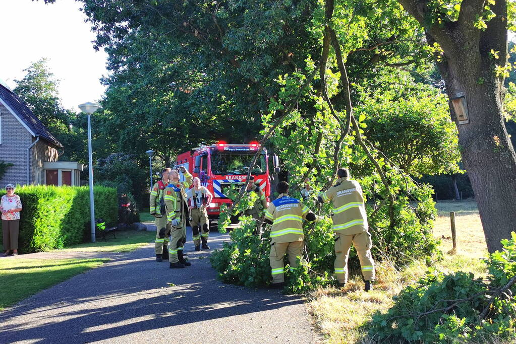 Gevaarlijk hangende tak verwijderd door brandweer