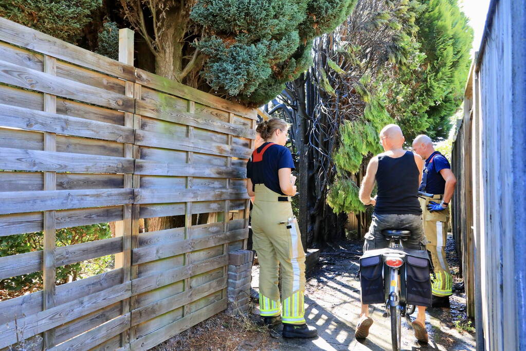 Boom en schutting verwoest door brandstichting