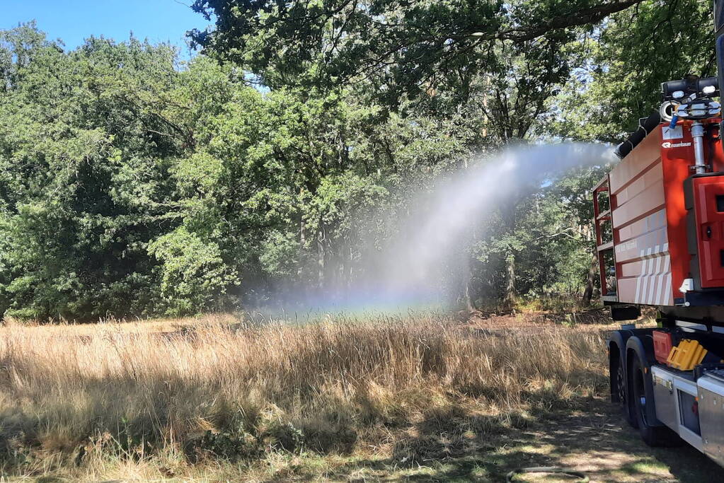 Brandweer blust flinke brand in berm