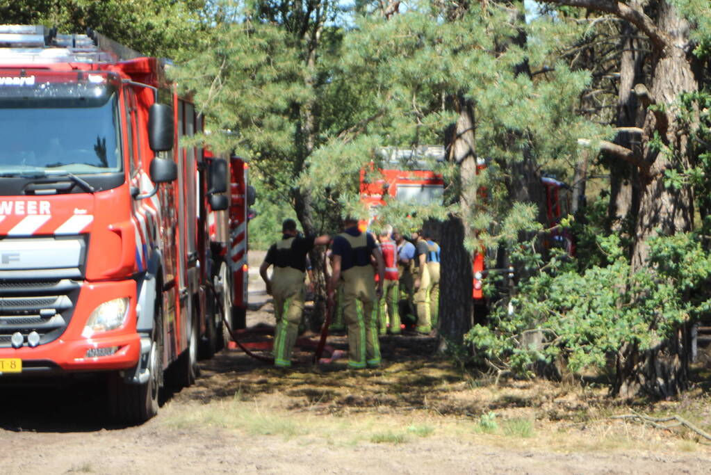 Natuurbrand snel onder controle