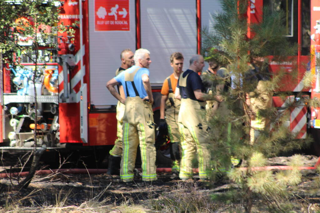 Natuurbrand snel onder controle